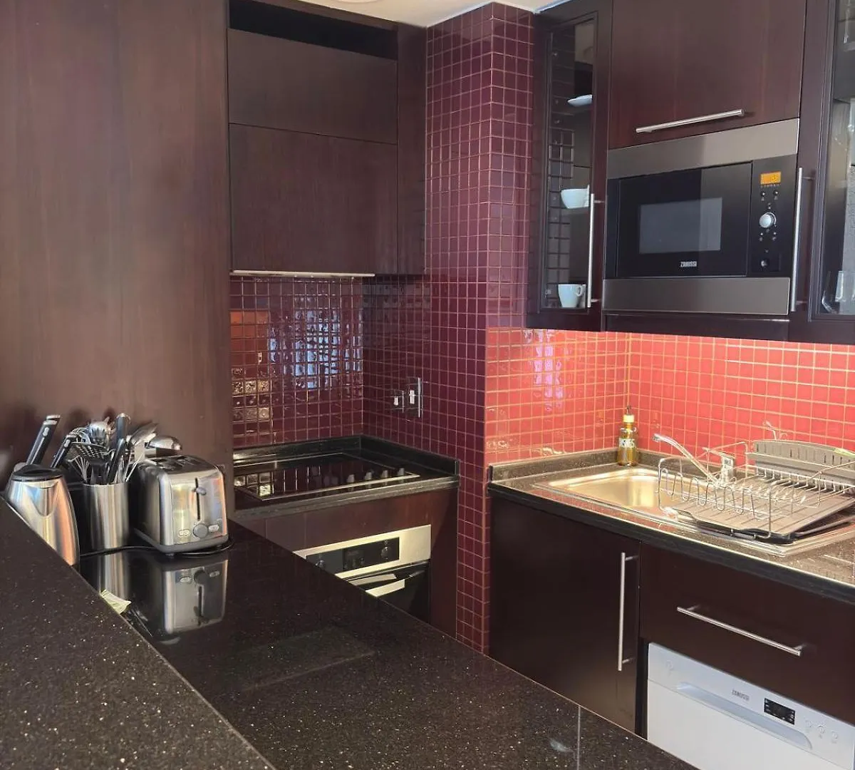 Residencial Apartments In Address Downtown Connected To Dubai Mall